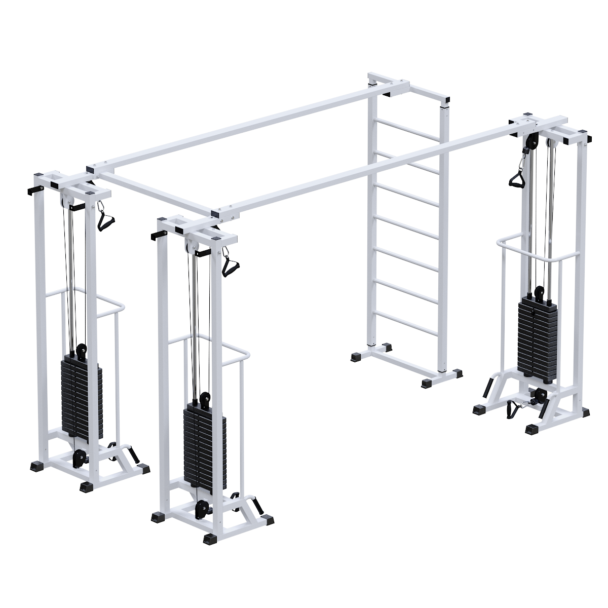 Биотонус-3+шведская стенка (стек 3х75кг)